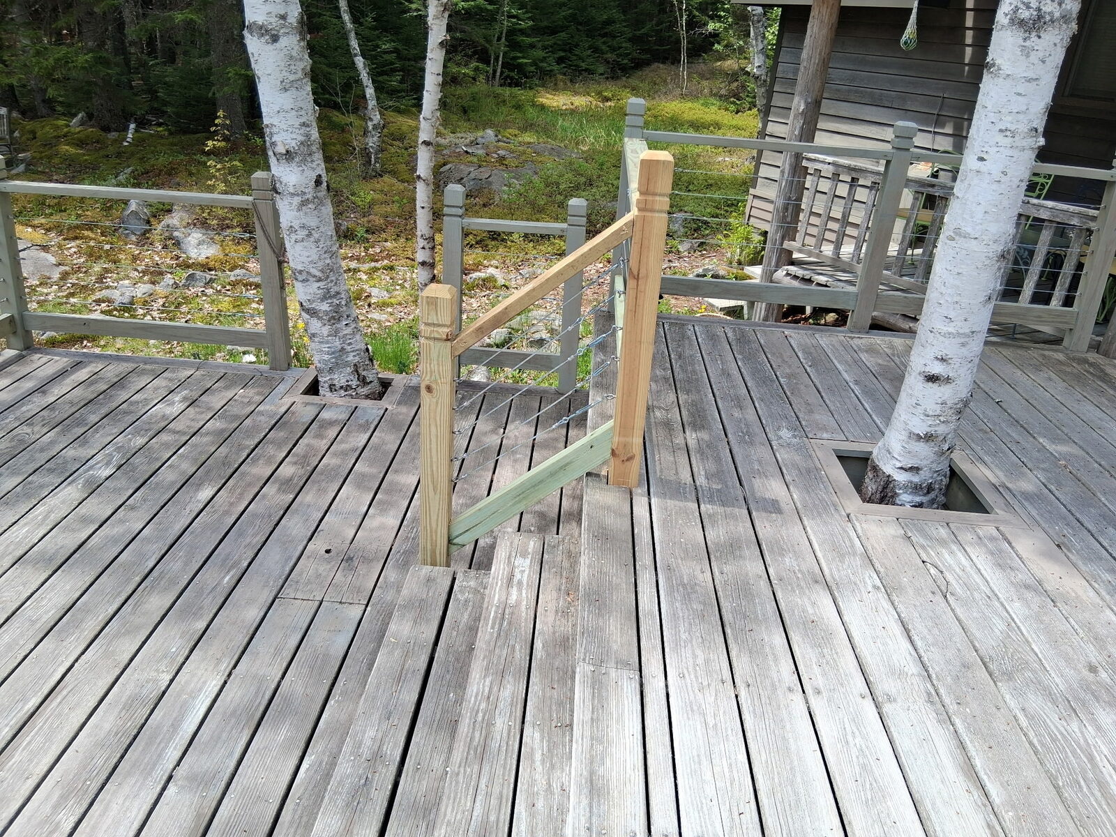 Tree-cutout detail — deck built around the trees